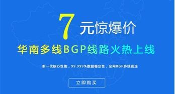 云服務商選擇與因私出入境中介服務的數(shù)字化考量